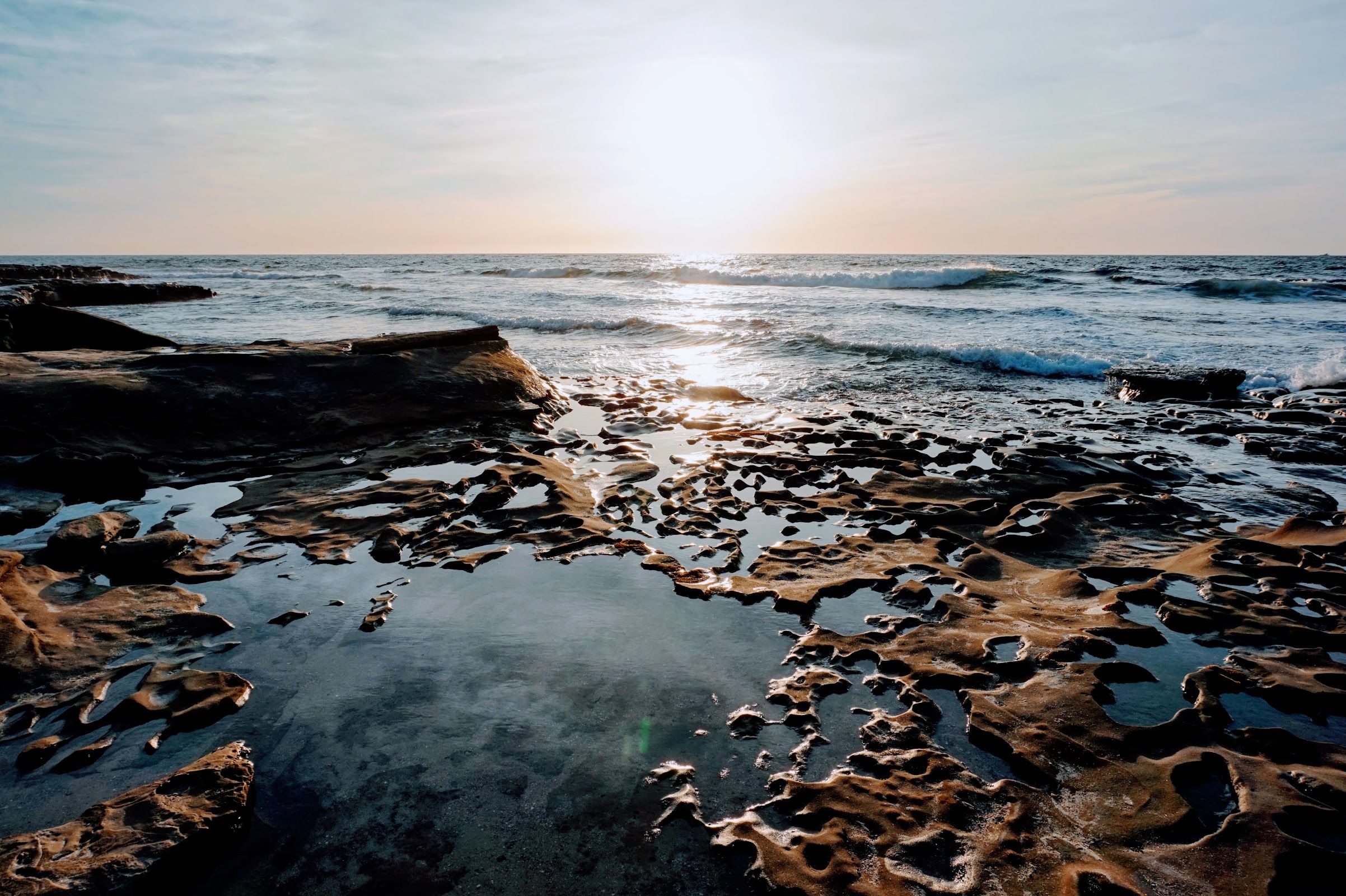 La Jolla Tide Pools