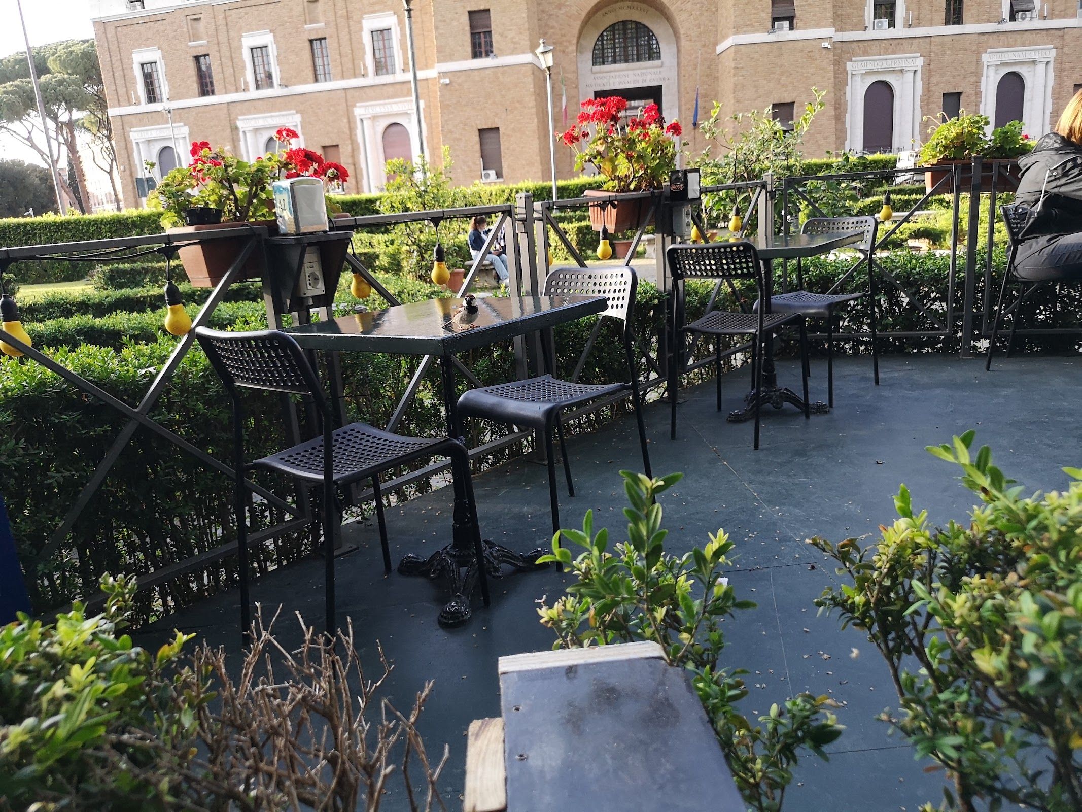 Biblio Bar Roma