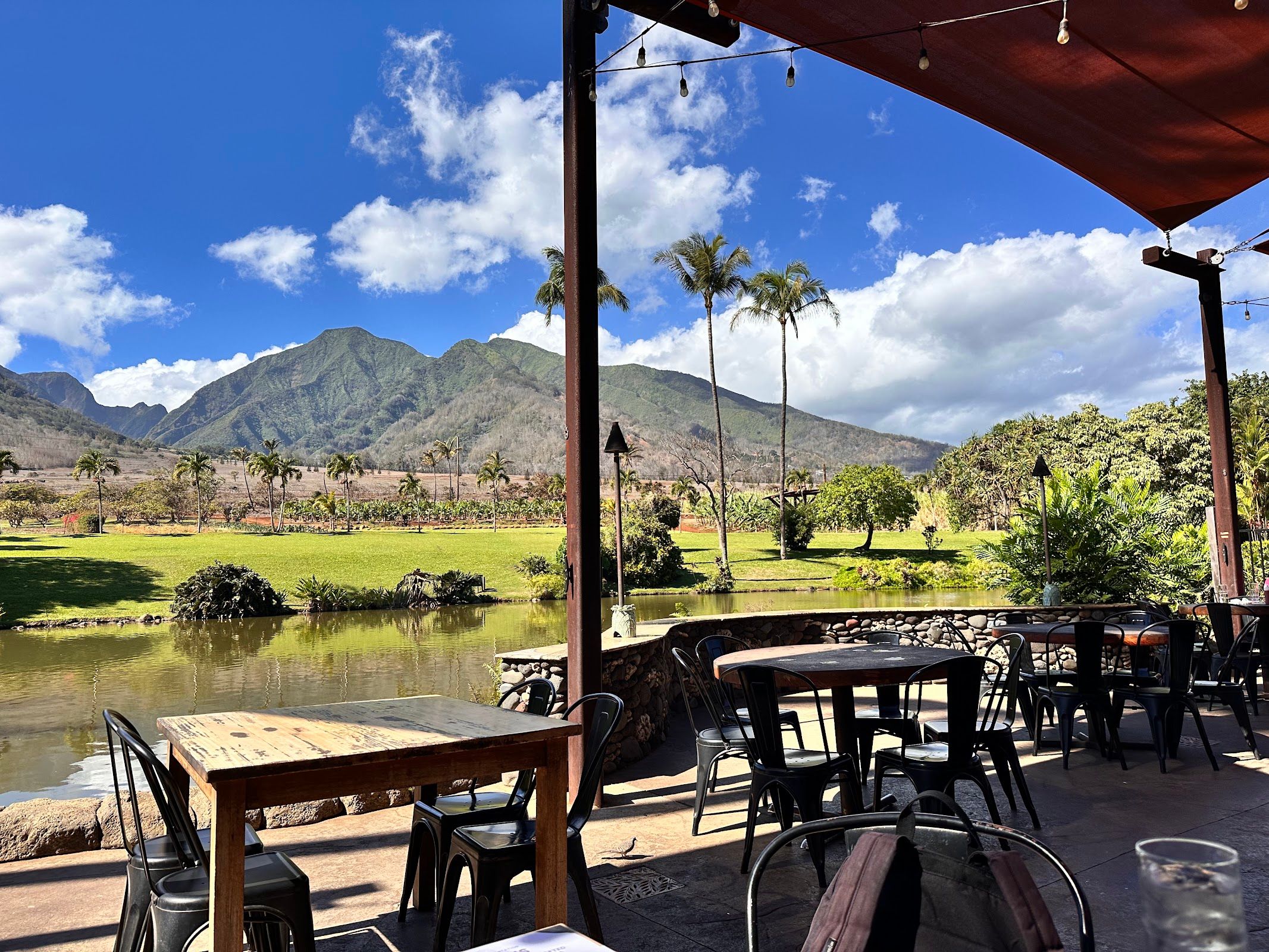 Cafe O'Lei at the Plantation