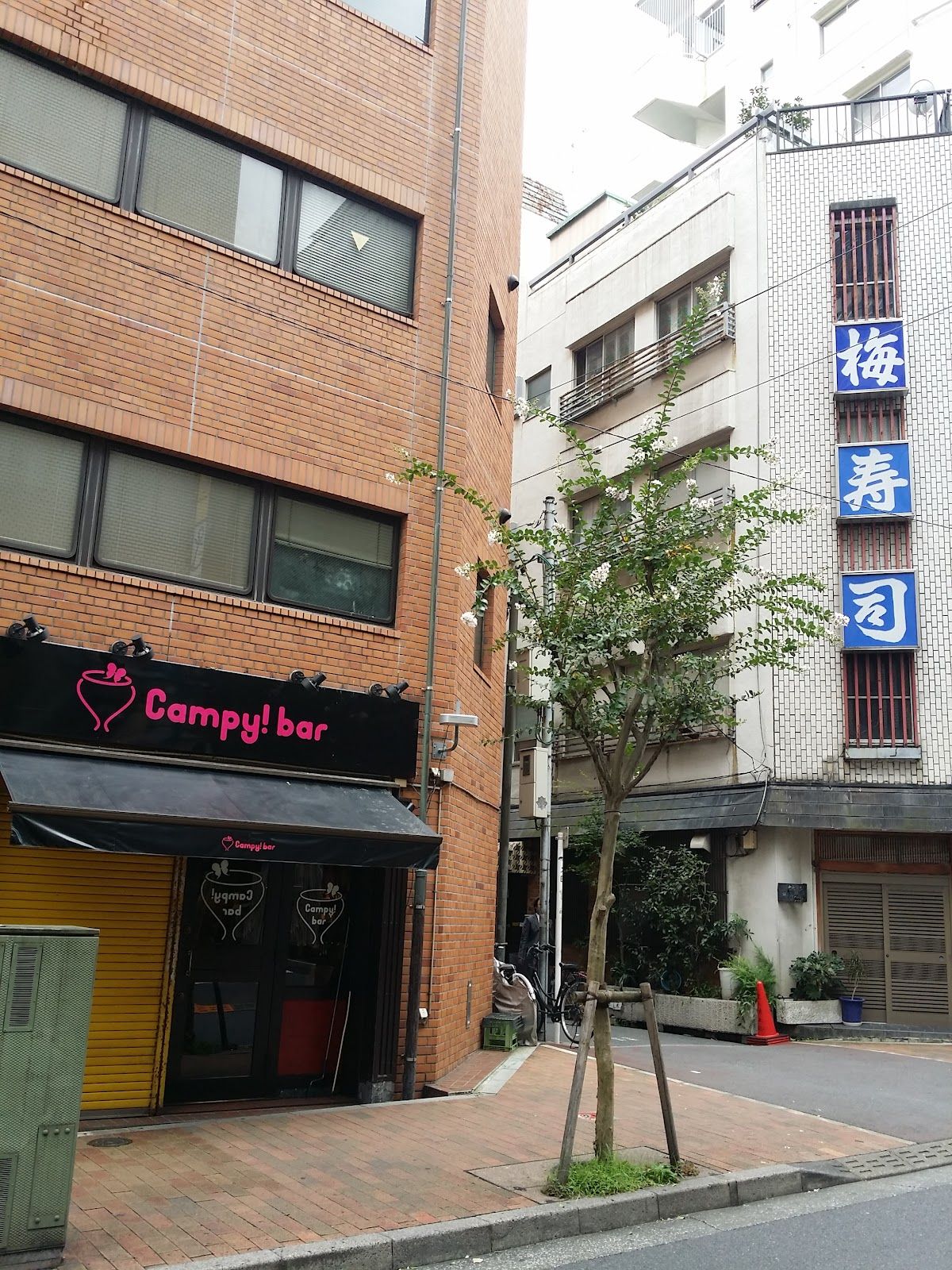 Campy! Bar