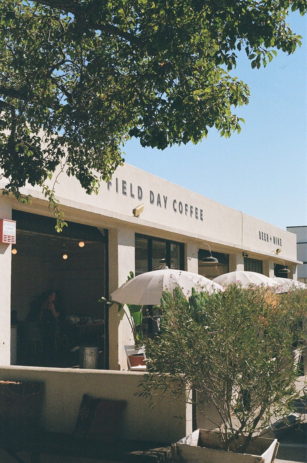 Field Day Coffee