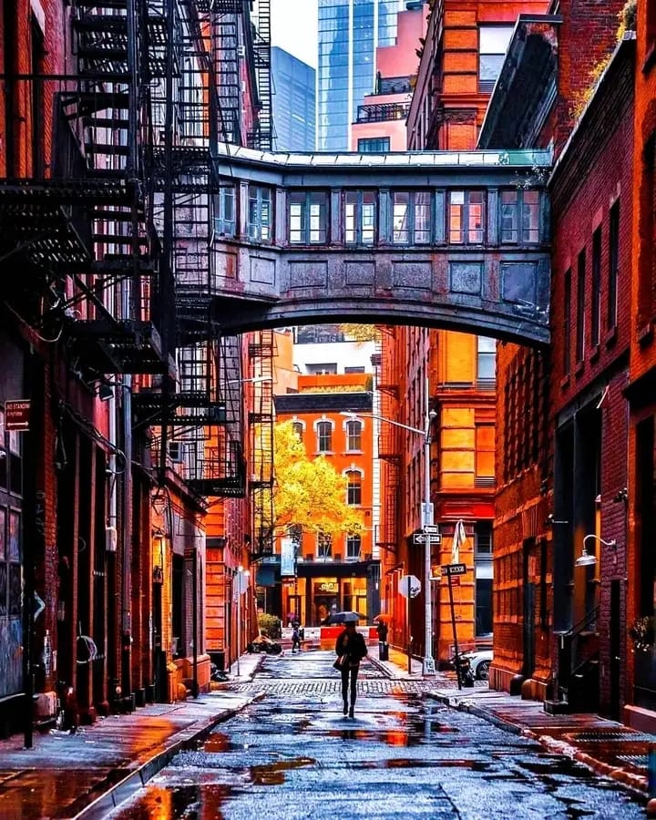 Staple Street Skybridge
