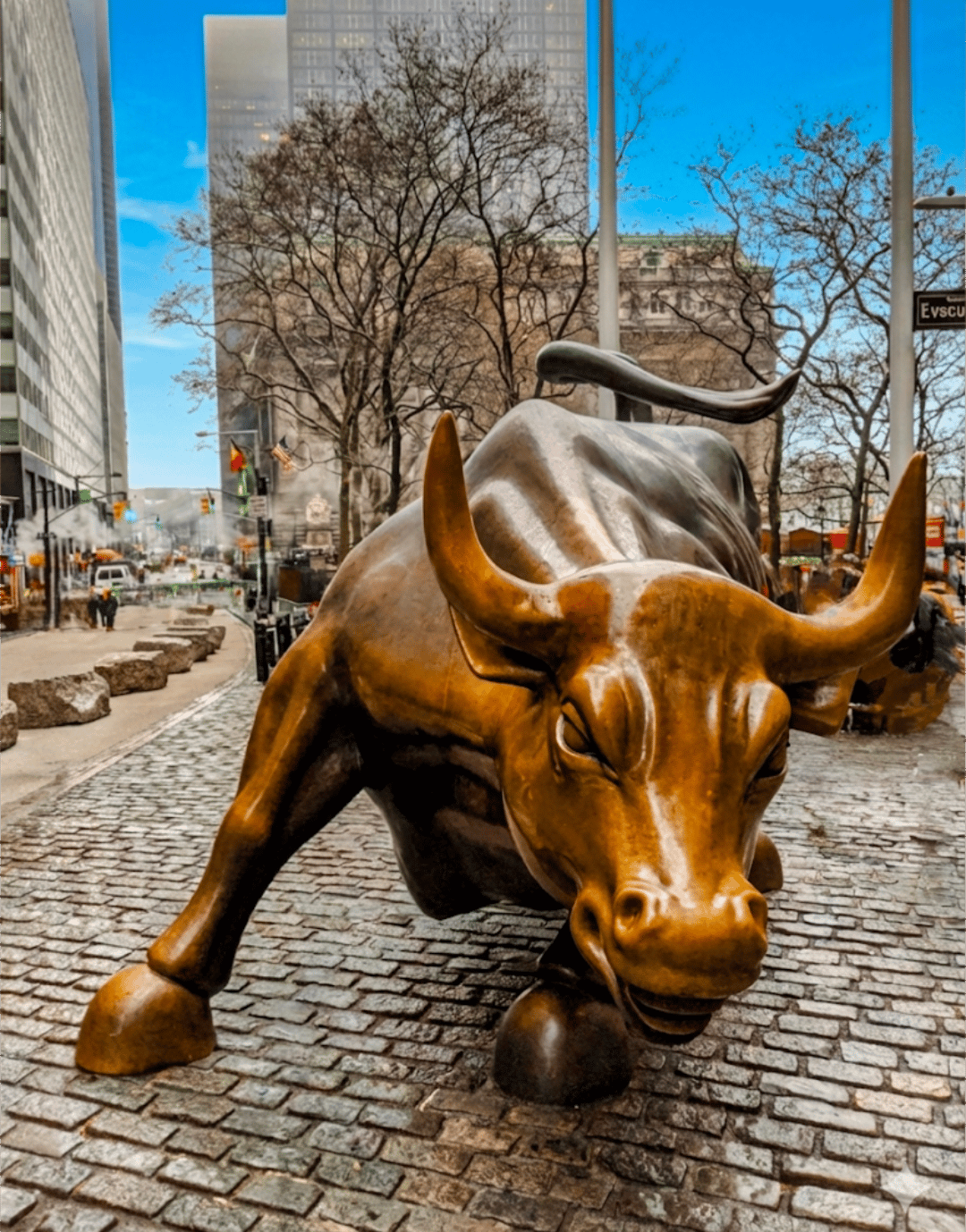 Charging Bull
