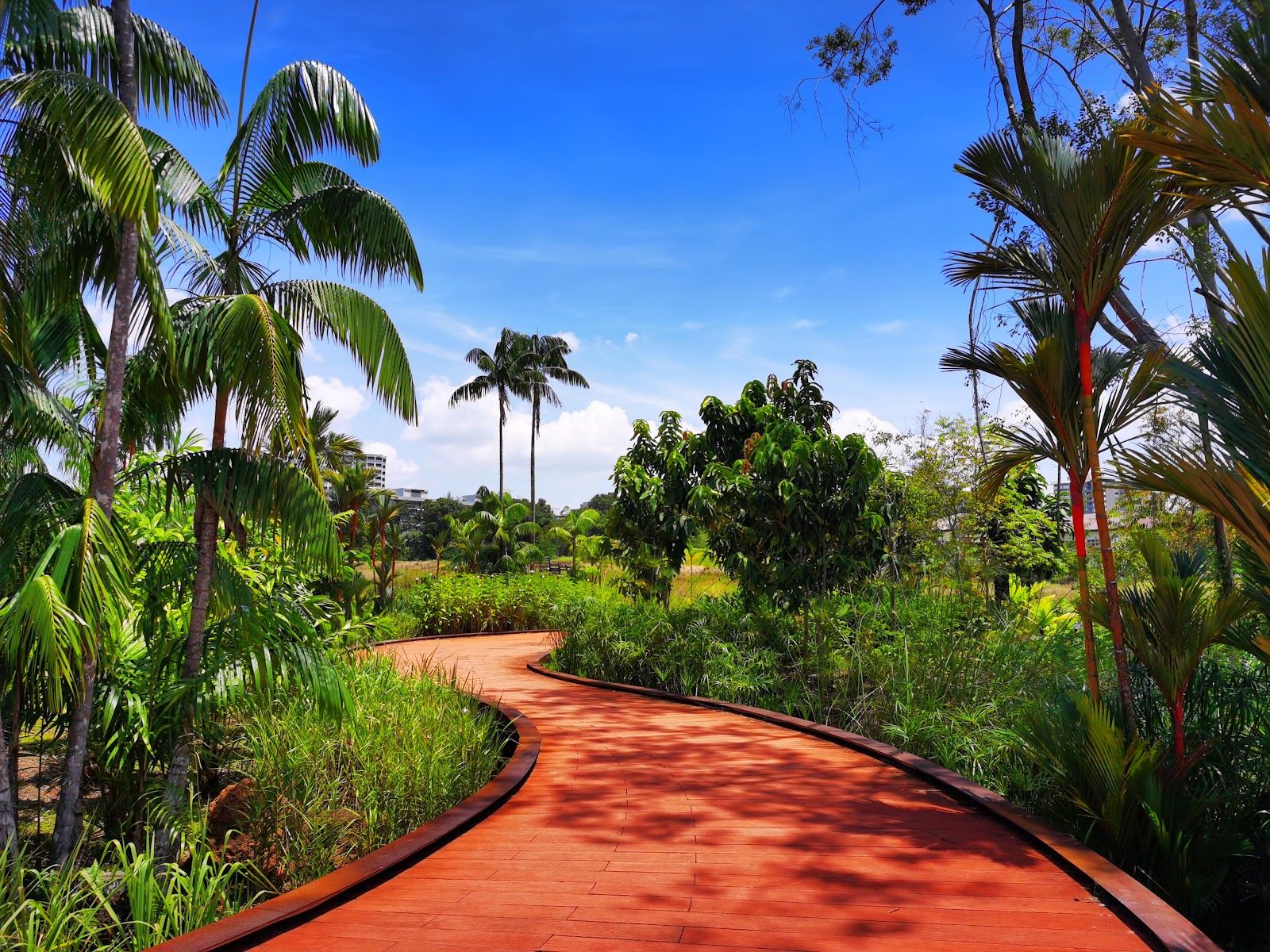 Jurong Lake Gardens