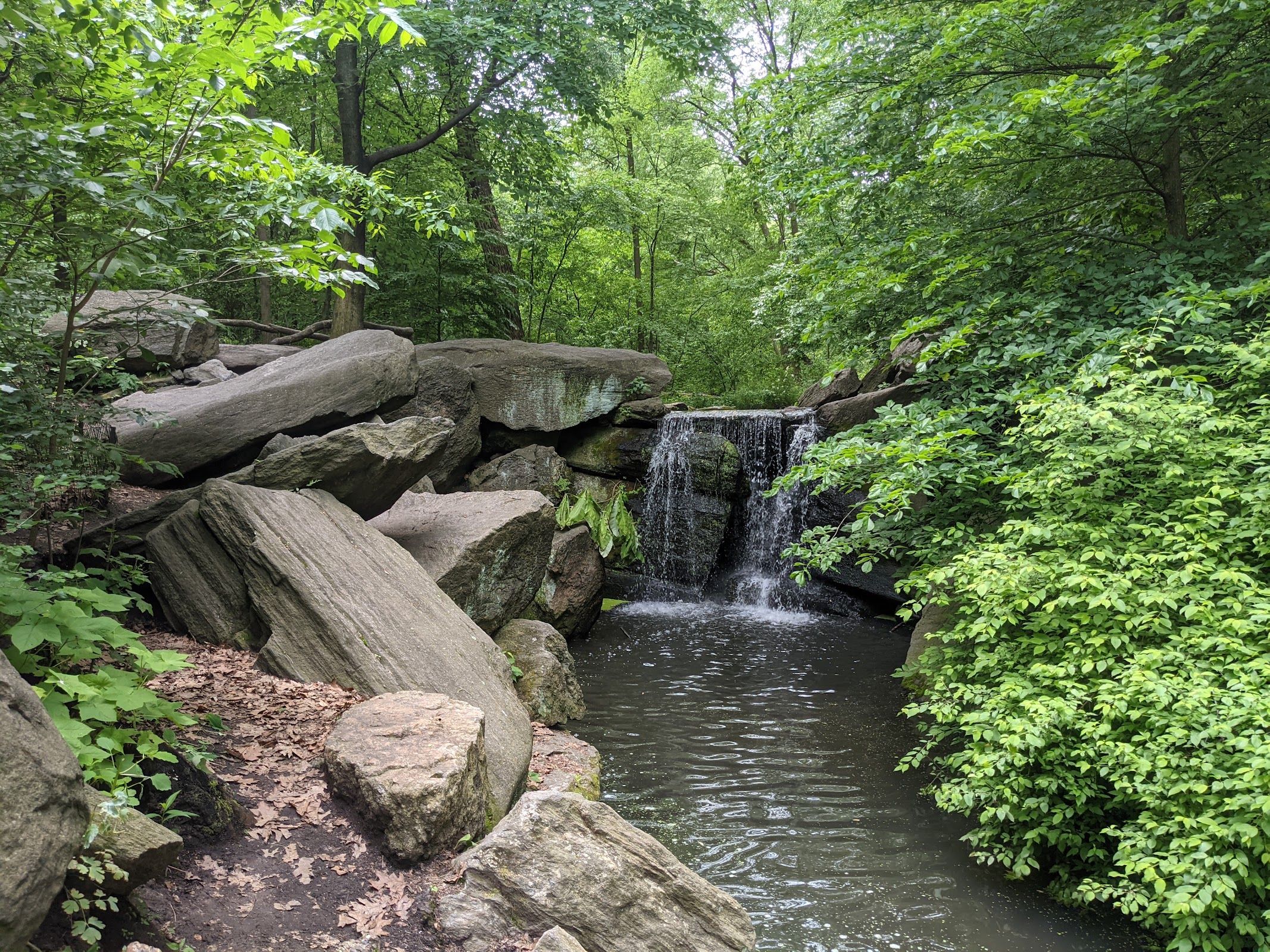 North Woods