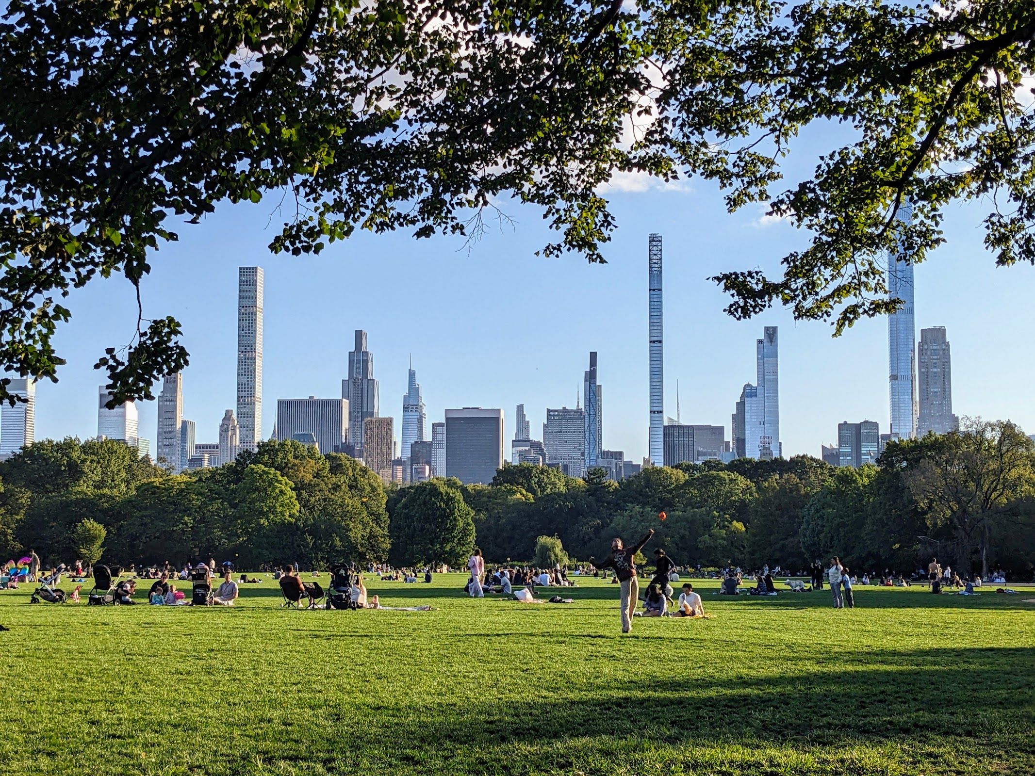 The Great Lawn