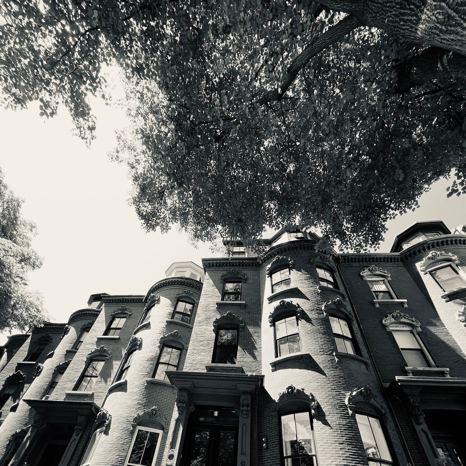 Union Park