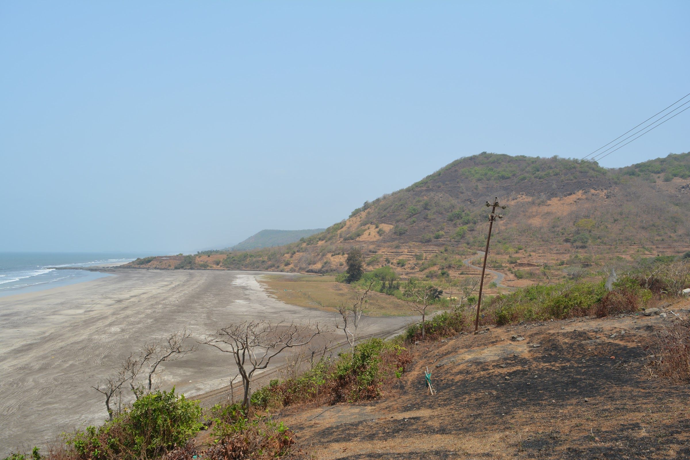 Dapoli