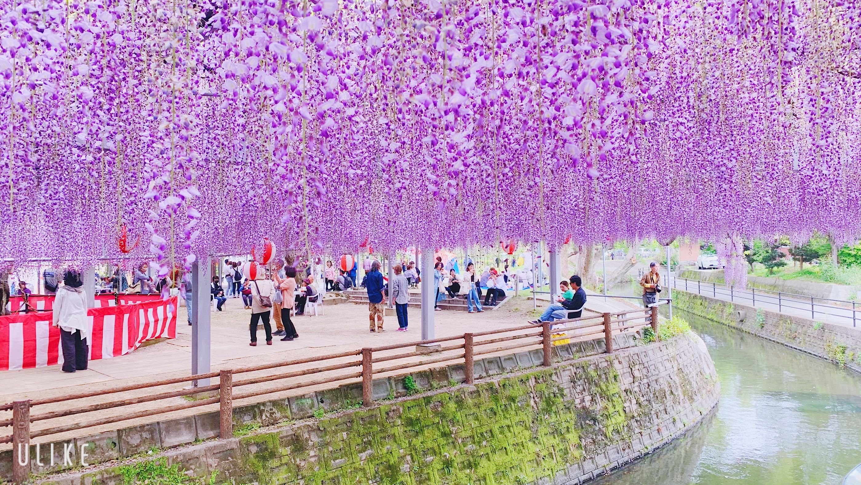 Nakayama no Ofuji