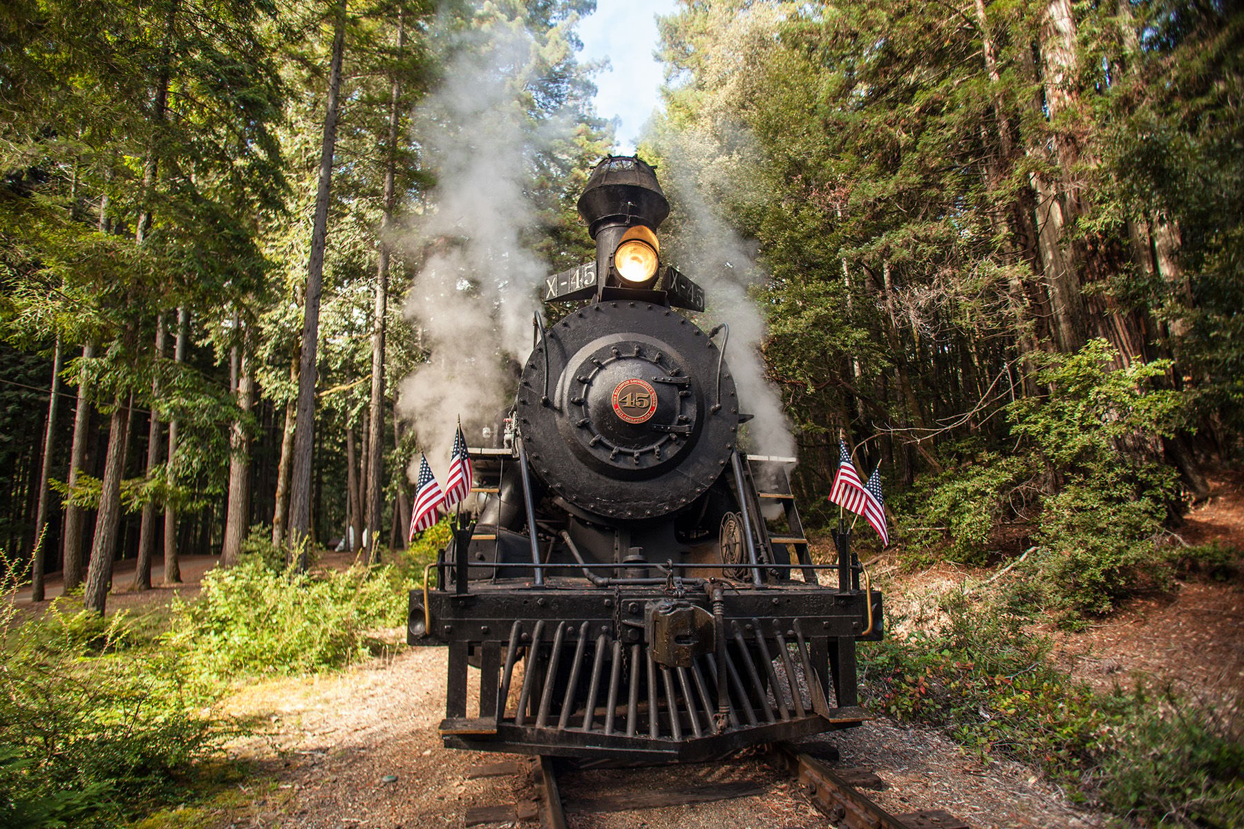 The Skunk Train