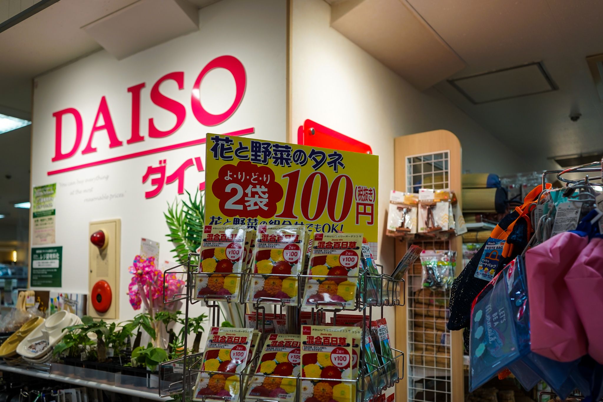 Daiso