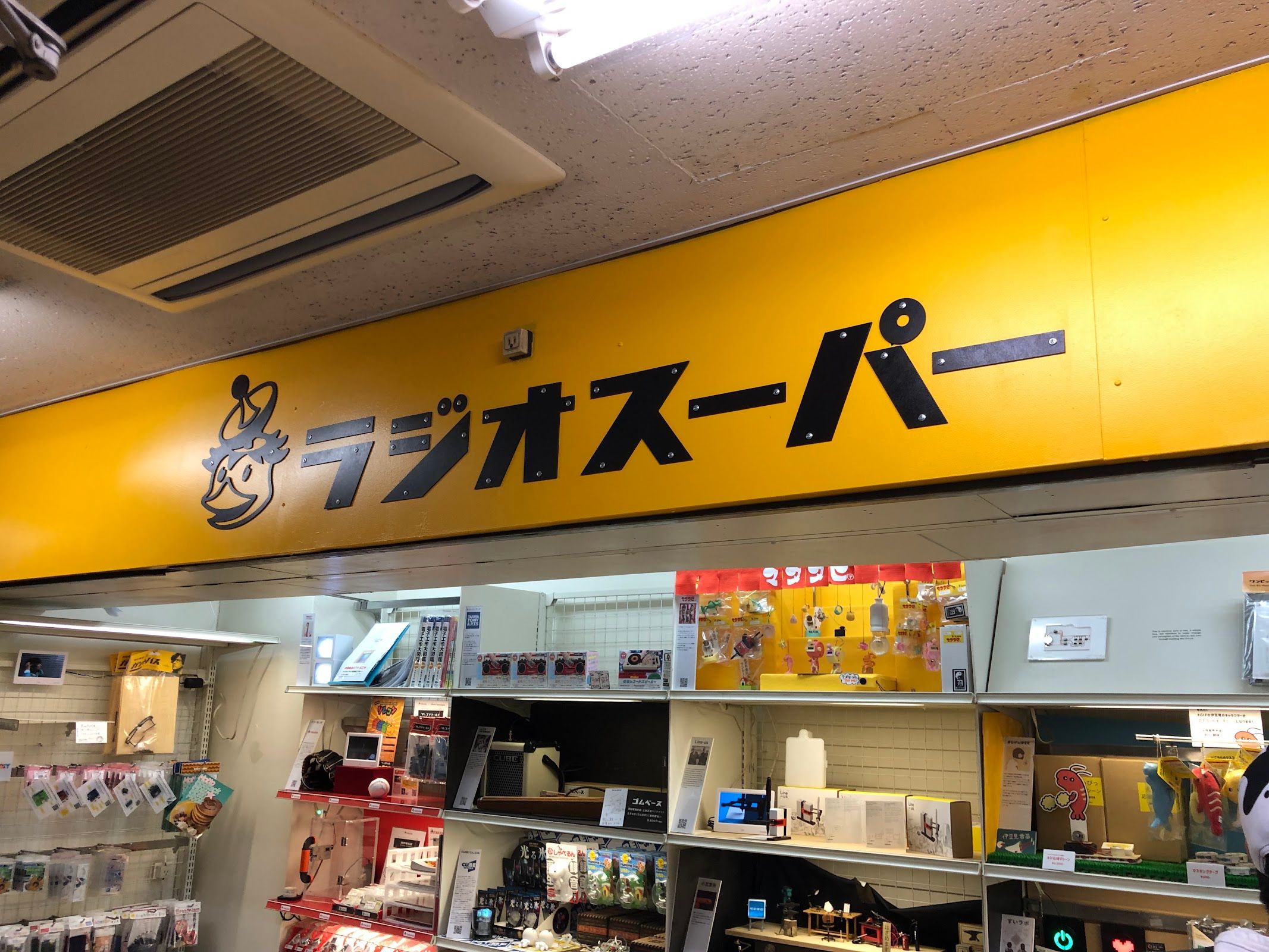 Maywa Denki Akihabara