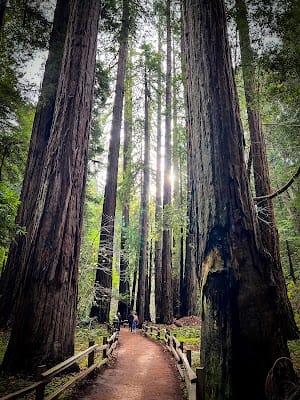 Muir Woods National Monument