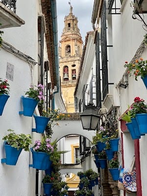 Calleja de las Flores
