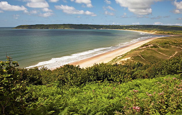 Oxwich Bay Beach