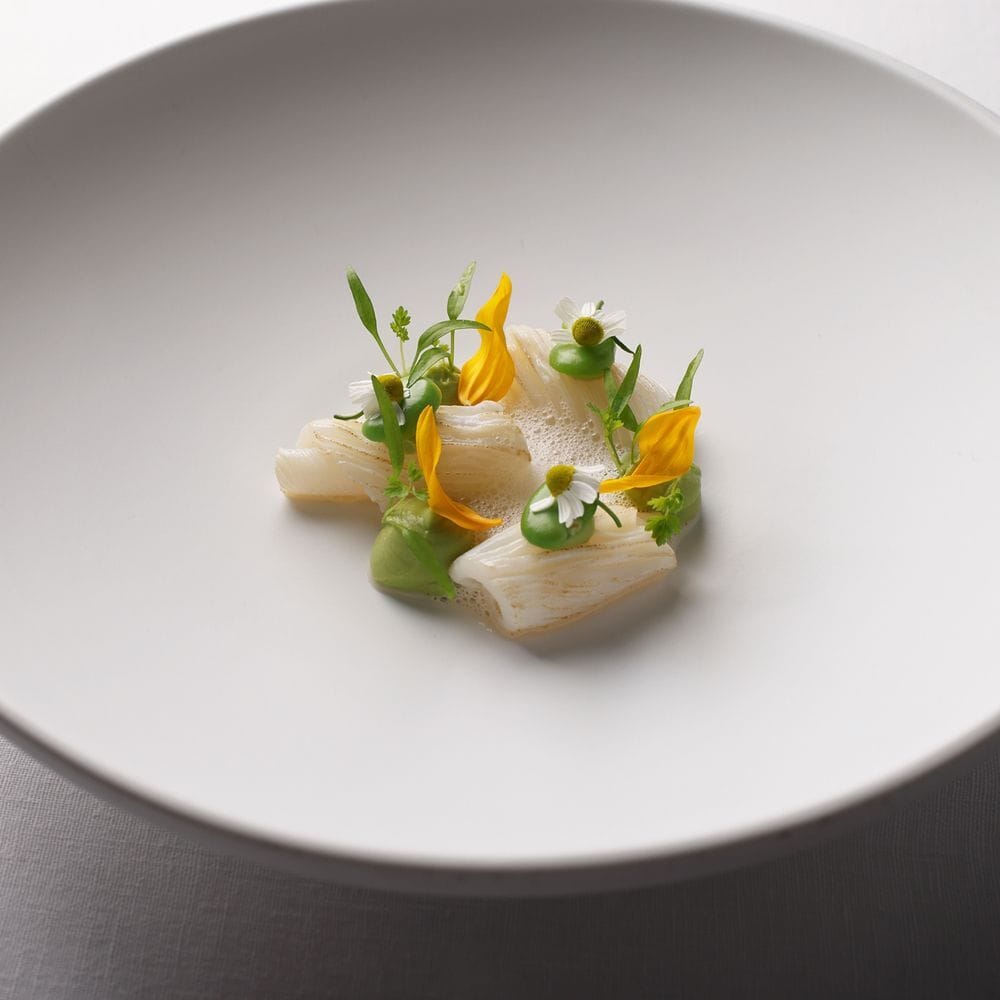 Equisse