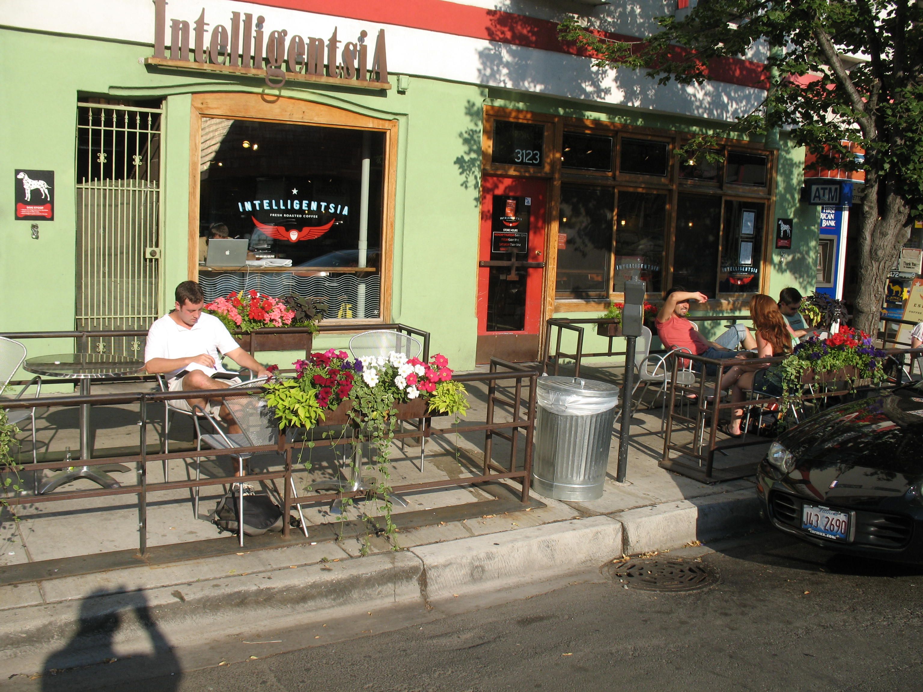 Intelligentsia