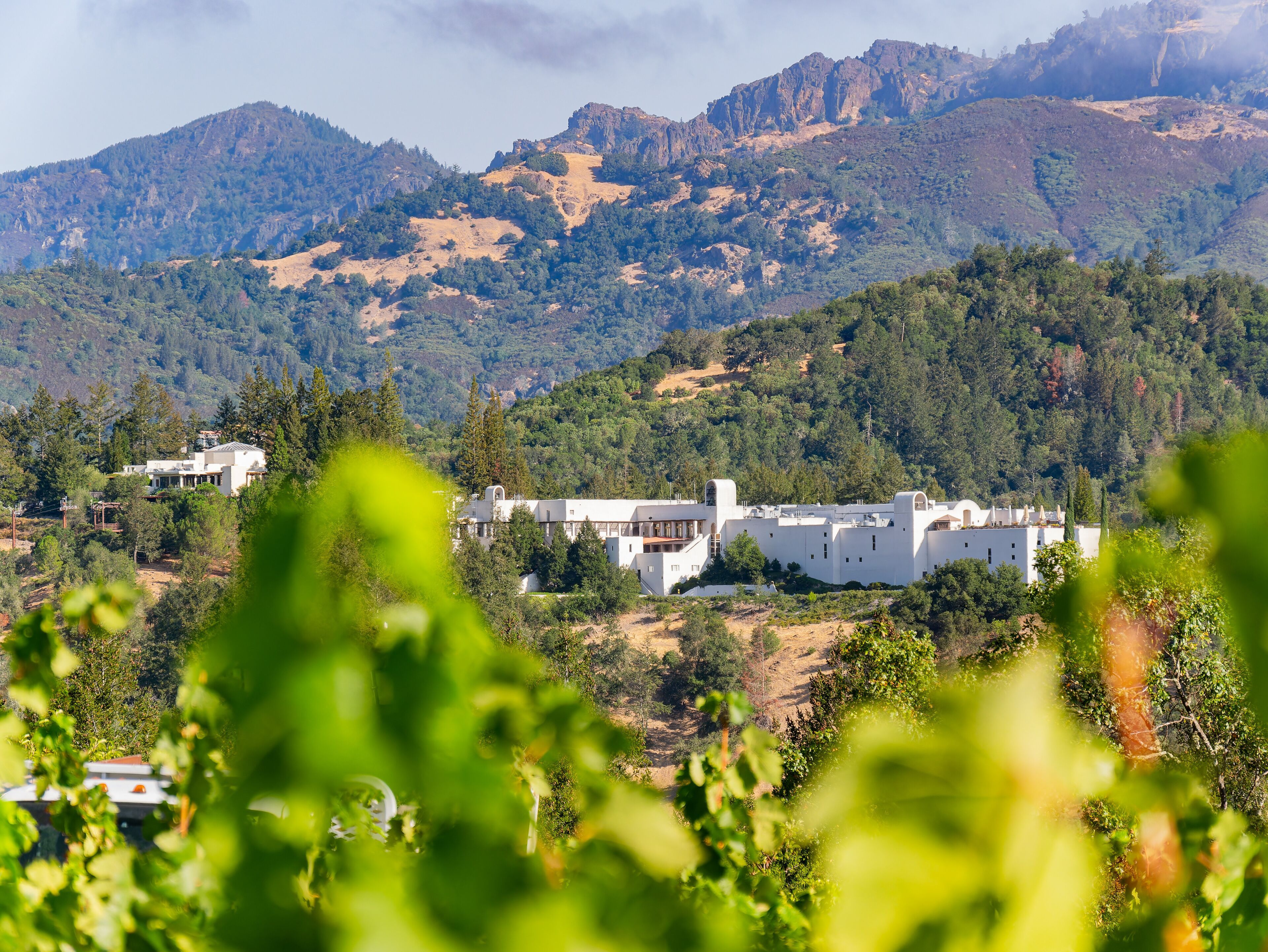 Sterling Vineyards