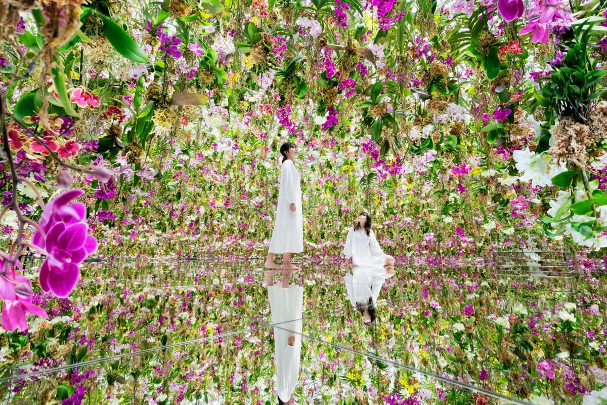 teamLab Planets TOKYO DMM