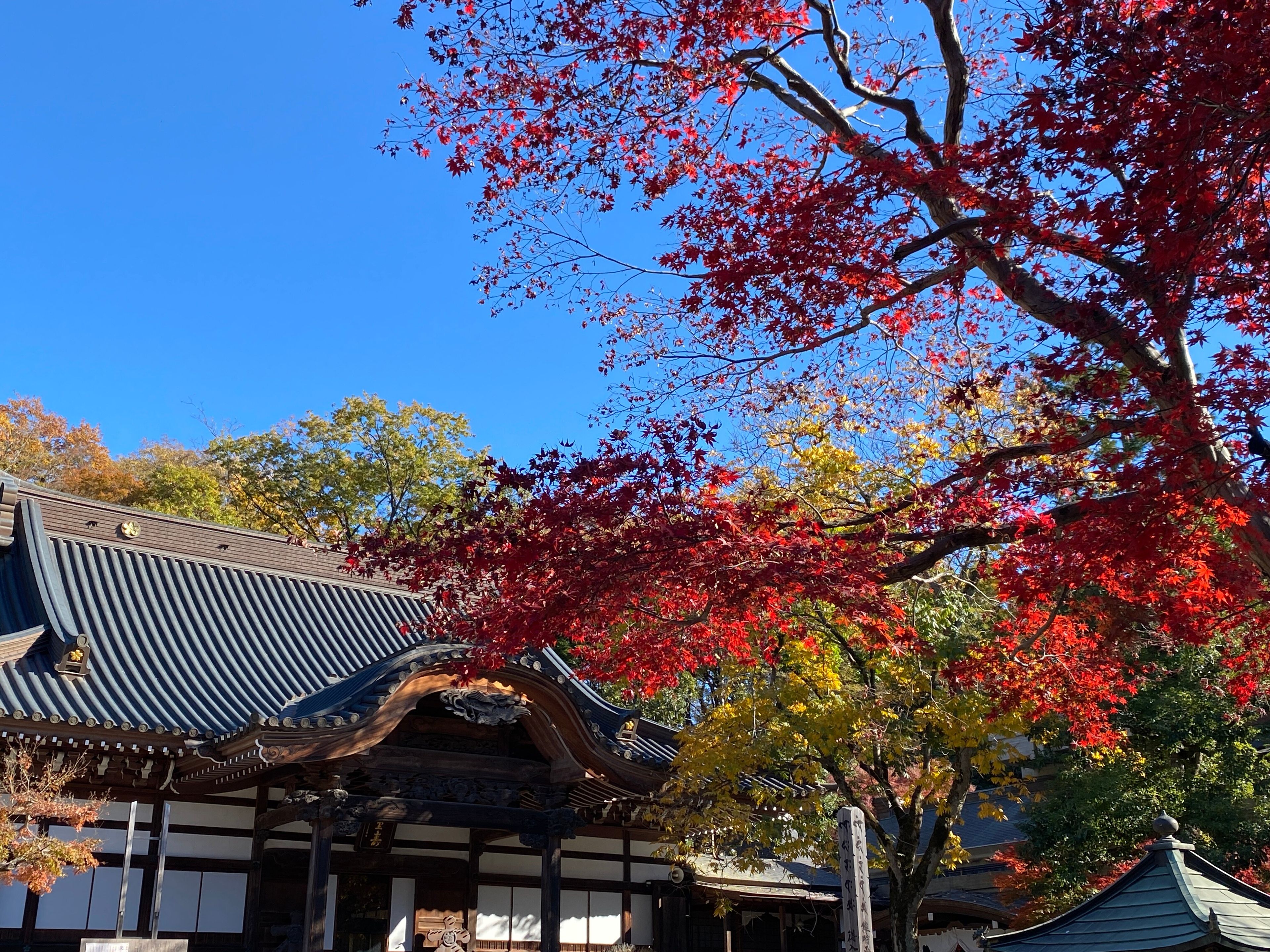 Jindaiji Temple