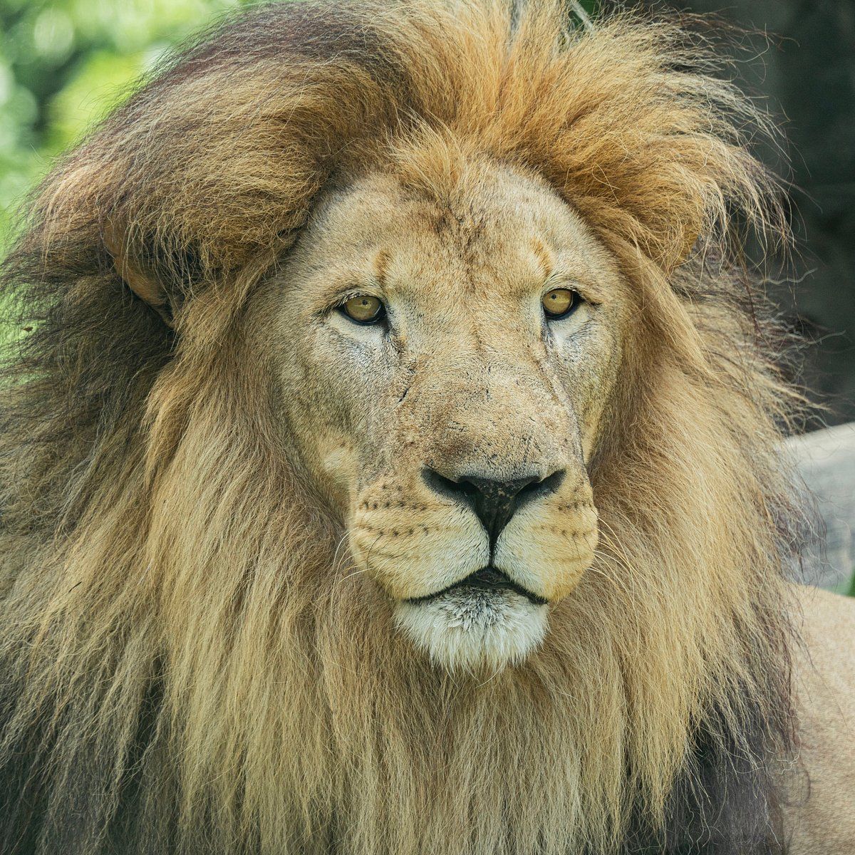 Franklin Park Zoo