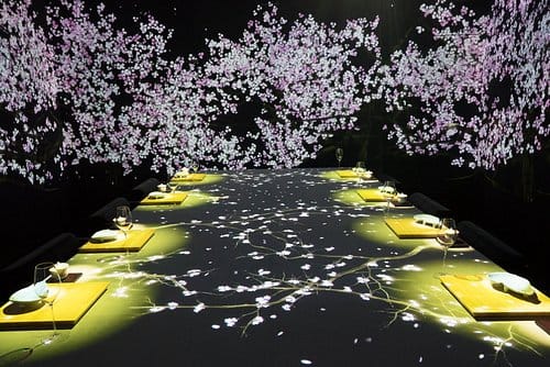 Vegan Ramen UZU Tokyo (inside teamLab Planets)