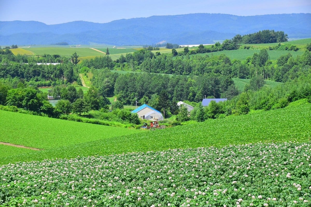 Shinei-no-Oka Observatory Park