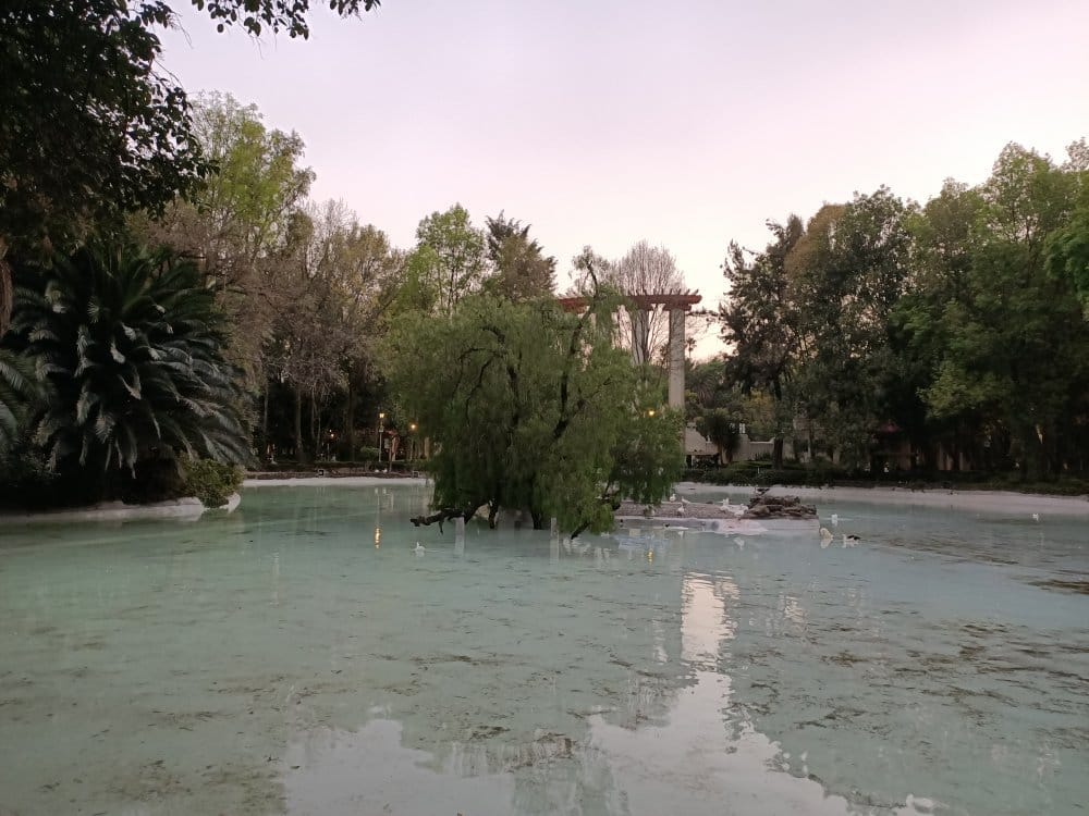 Parque México