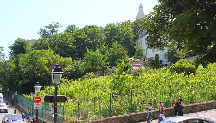 Clos Montmartre