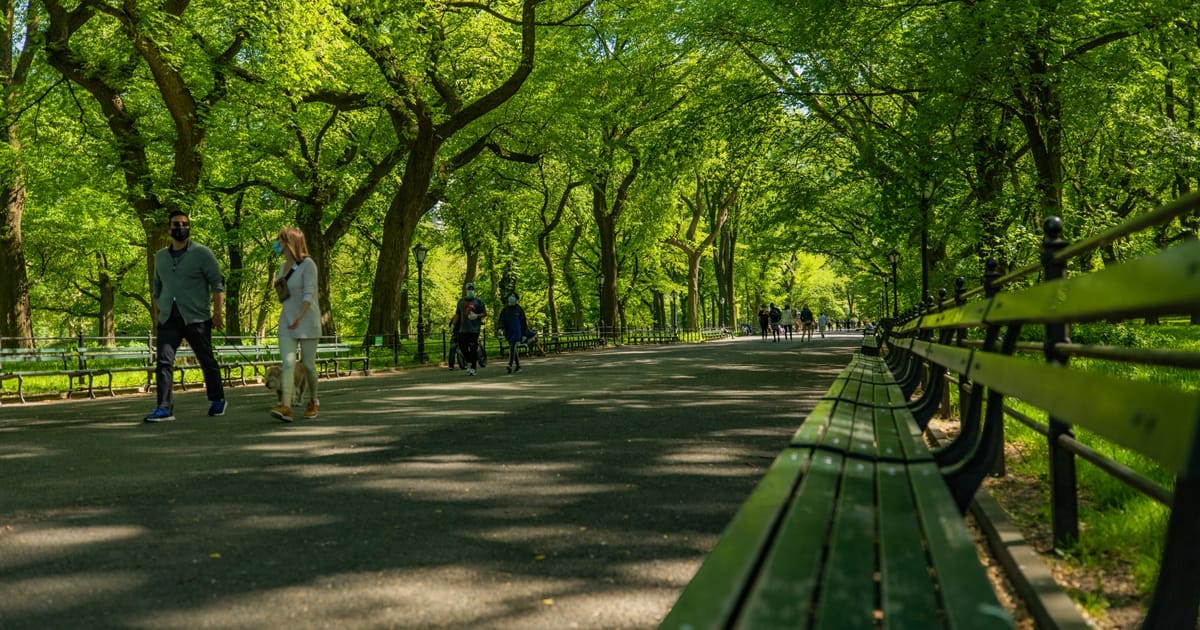 The Mall and Literary Walk