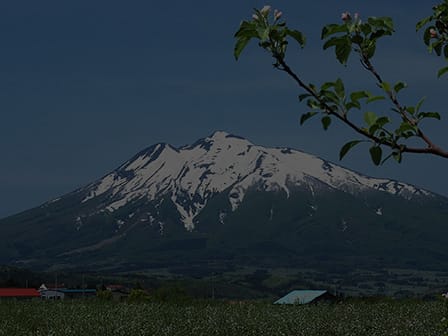 Hirosaki City Apple Park