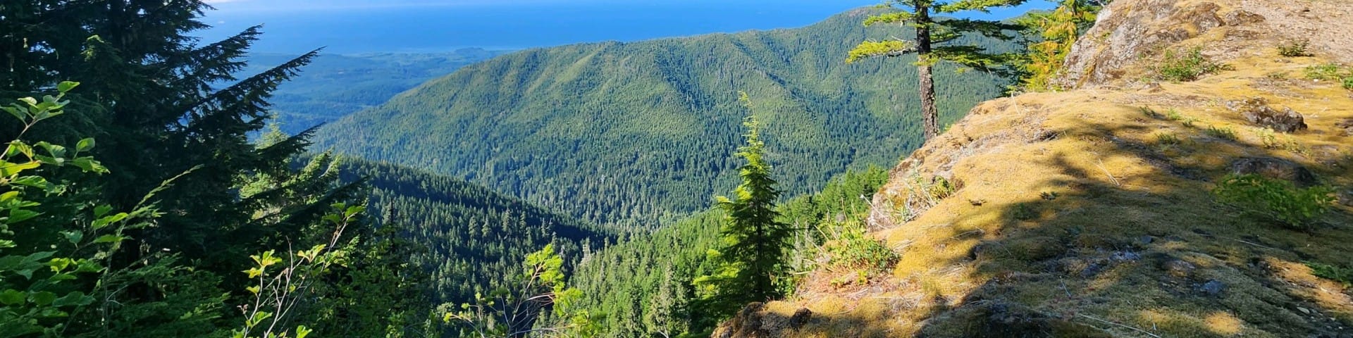 Quinault Rain Forest Trailhead