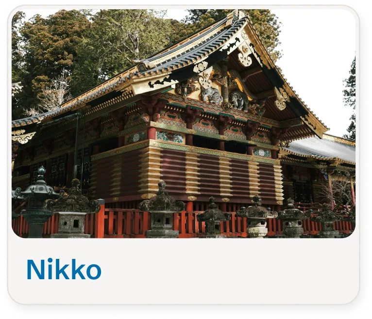 Nikko day-trip card
